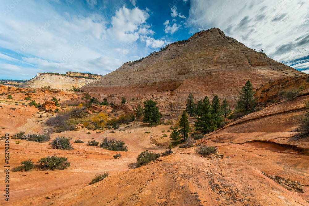 Naklejka premium Breathtaking view of the orange cliffs. Amazing mountain landscape. View from Mt. Carmel Highway, Zion National Park, Utah, USA