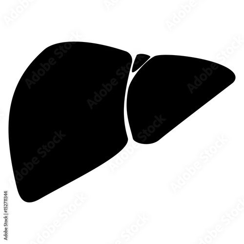 The liver black color icon.