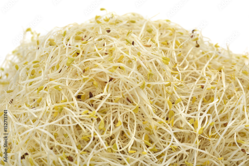 pile of alfalfa sprouts