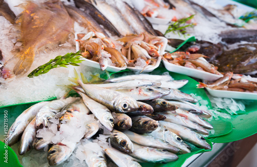 fresh fish on market
