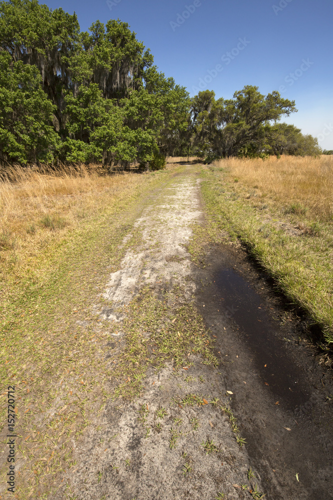 Hiking trail winding through Florida scrub at Lake Kissimmee Park. Hiking trail winding through Florida scrub at Lake Kissimmee Park.