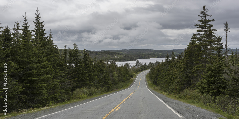 Tree lined country road, on a cloudy day, Nova Scotia, Canada