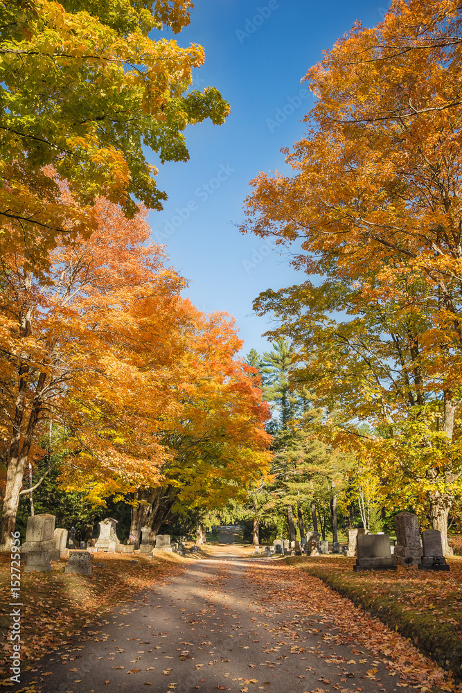 Autumn trees along a cemetery path in New England