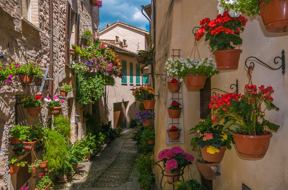 Romantico vicolo decorato con vasi di fiori nel centro storico di Spello
