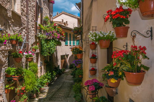 Romantico vicolo decorato con vasi di fiori nel centro storico di Spello