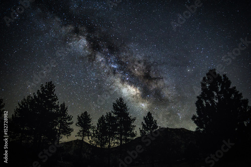 Milky Way Over Trees