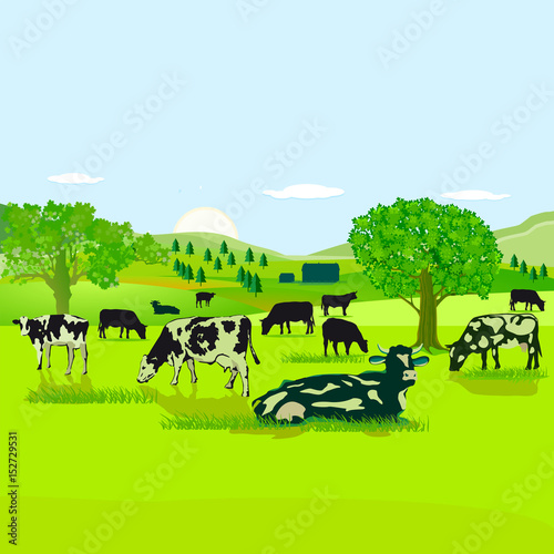 Kühe auf der Weide illustration 