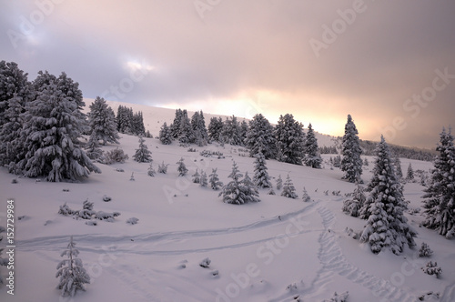 Magic view of Winter Park in © Radoslav Stoilov