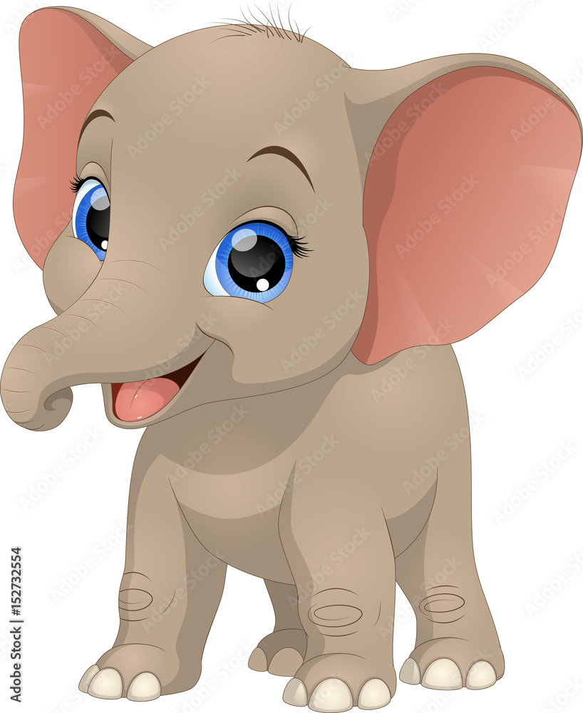 Obraz premium Cute funny baby elephant