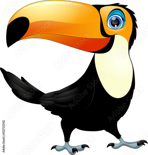 Merry Toucan Bird