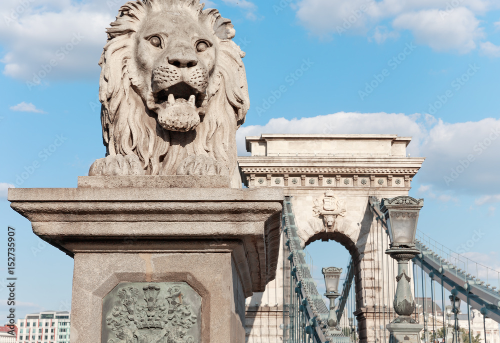 Budapest. Hungary. Lion of a Chain bridge