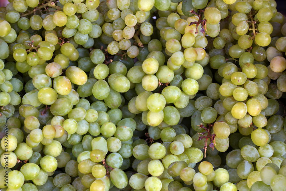 Heap of ripe green grapes