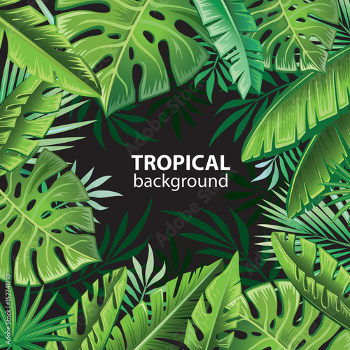 Tropical leaves on black