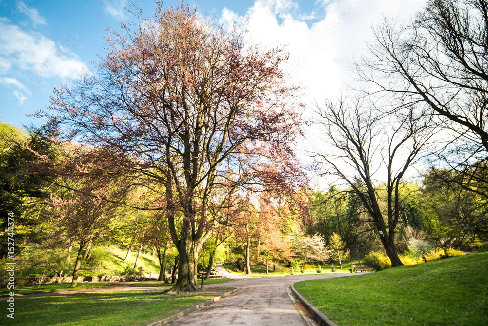 Sunset in stryisky park