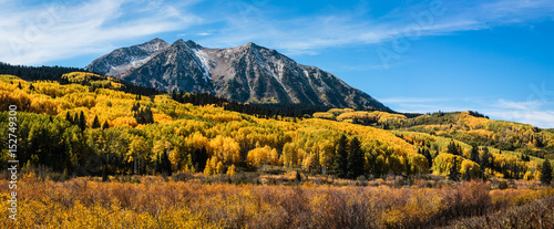 Colorado Autumn Color on Kebler Pass photo