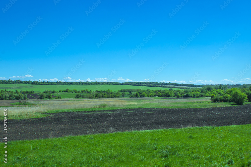 Treated field, green field and sky without a cloud Treated field, green field and sky without a cloud