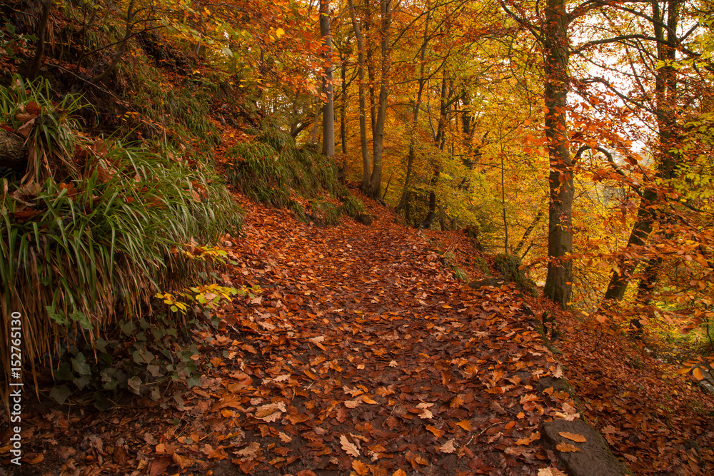 Autumn colours Autumn colours