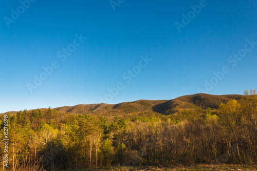 Jefferson National Forest