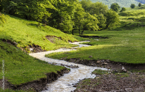 Mountain stream flowing through the green forest and meadow.