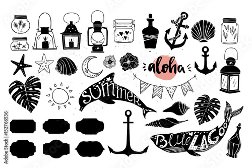 Hand drawn vector illustration - Marine life. Perfect for invitations  greeting cards  posters and more. Silhouette of whales and dolphins. Big summer collection of design elements