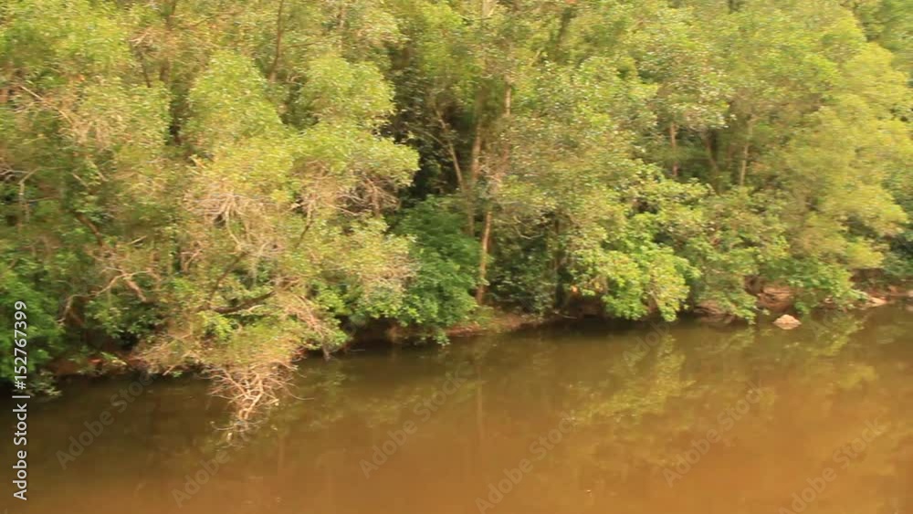 A scene of forests and rivers
