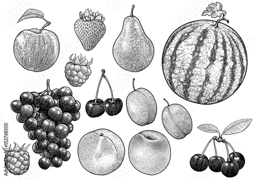 Fruit collection illustration, drawing, engraving, ink, line art, vector

