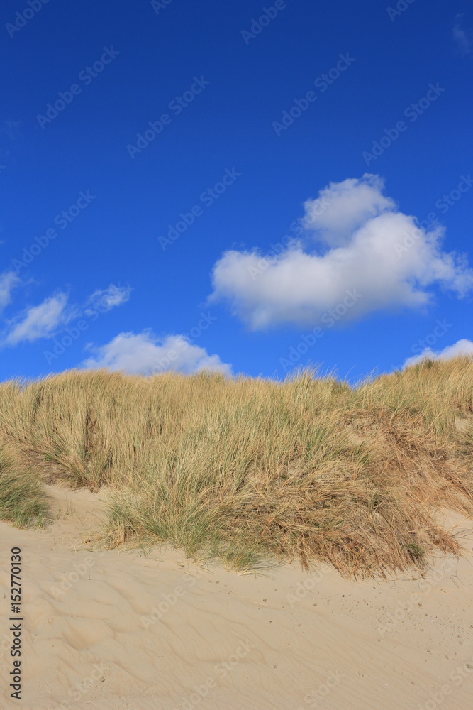 Dünen bei Renesse Dünen bei Renesse