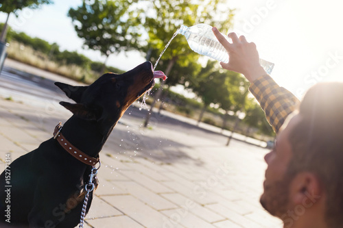 Dog drinking water from the plastic bottle in the park. photo