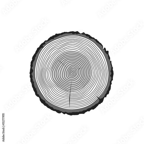 Tree log rings vector icon, tree wooden cross section black texture isolated, wood timber cut on white background