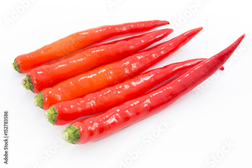 Hot red chili or chilli pepper isolated on white background.