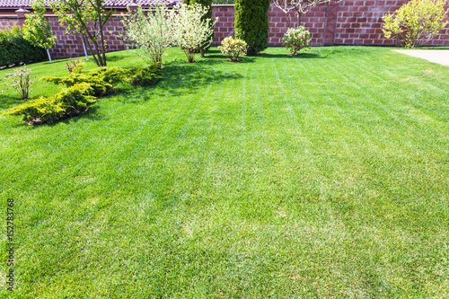 well-groomed lawn with decorative bushes