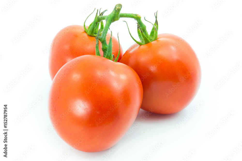 red tomato vegetable isolated on white background red tomato vegetable isolated on white background