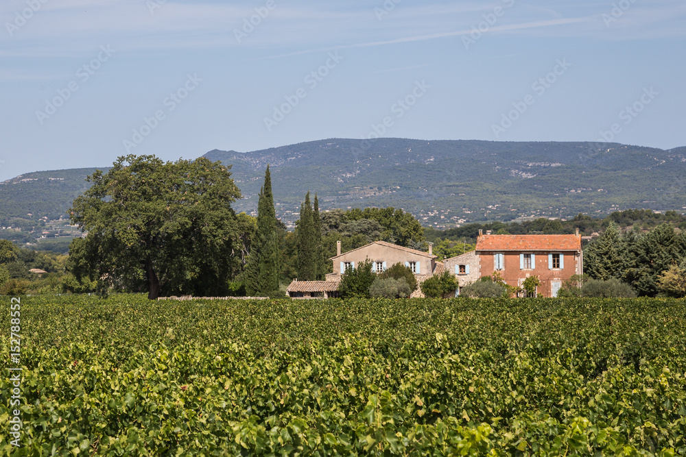 Scenic countryside in Provence, France