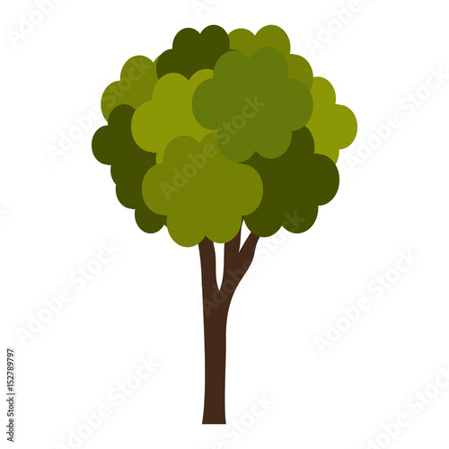 tree plant isolated icon vector illustration design