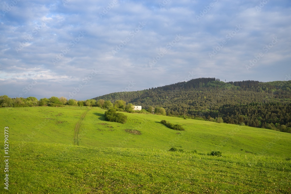 Green meadow with trees and views to mountains. Slovakia