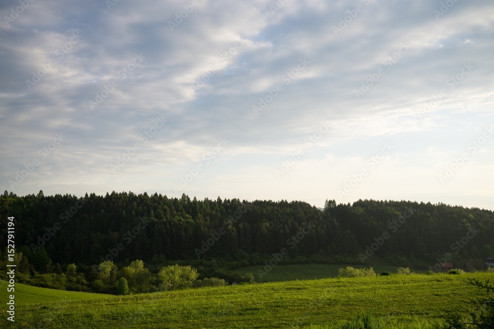 Green meadow with trees and views to mountains. Slovakia Green meadow with trees and views to mountains. Slovakia