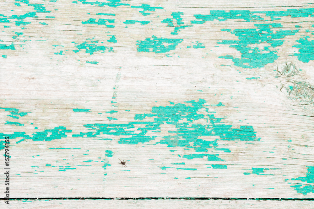 wooden background with cracked green paint