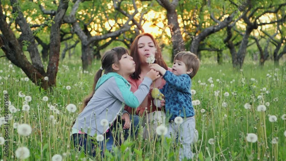Family playing with dandelions in the garden. Slow Motion Family playing with dandelions in the garden. Slow Motion