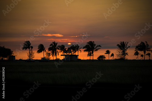 Cuban Sunset in Havana with palm trees and hut