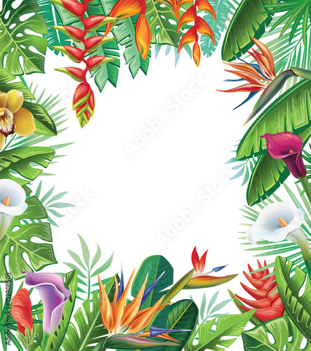 Tropical plants and flowers