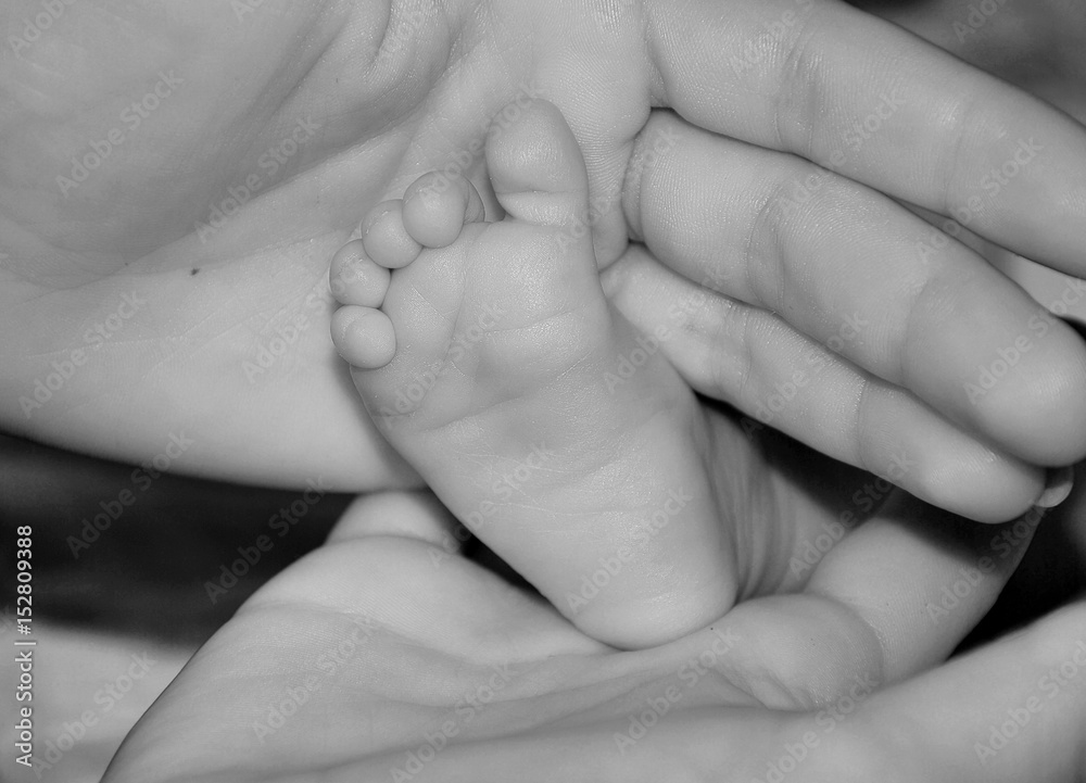 Baby's foot Baby's foot