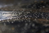 water drops on foil, black and brown background, focus, blurry