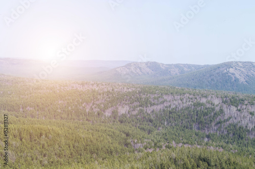 beautiful wild nature  pine forests  high mountains  landscape  summer  sun