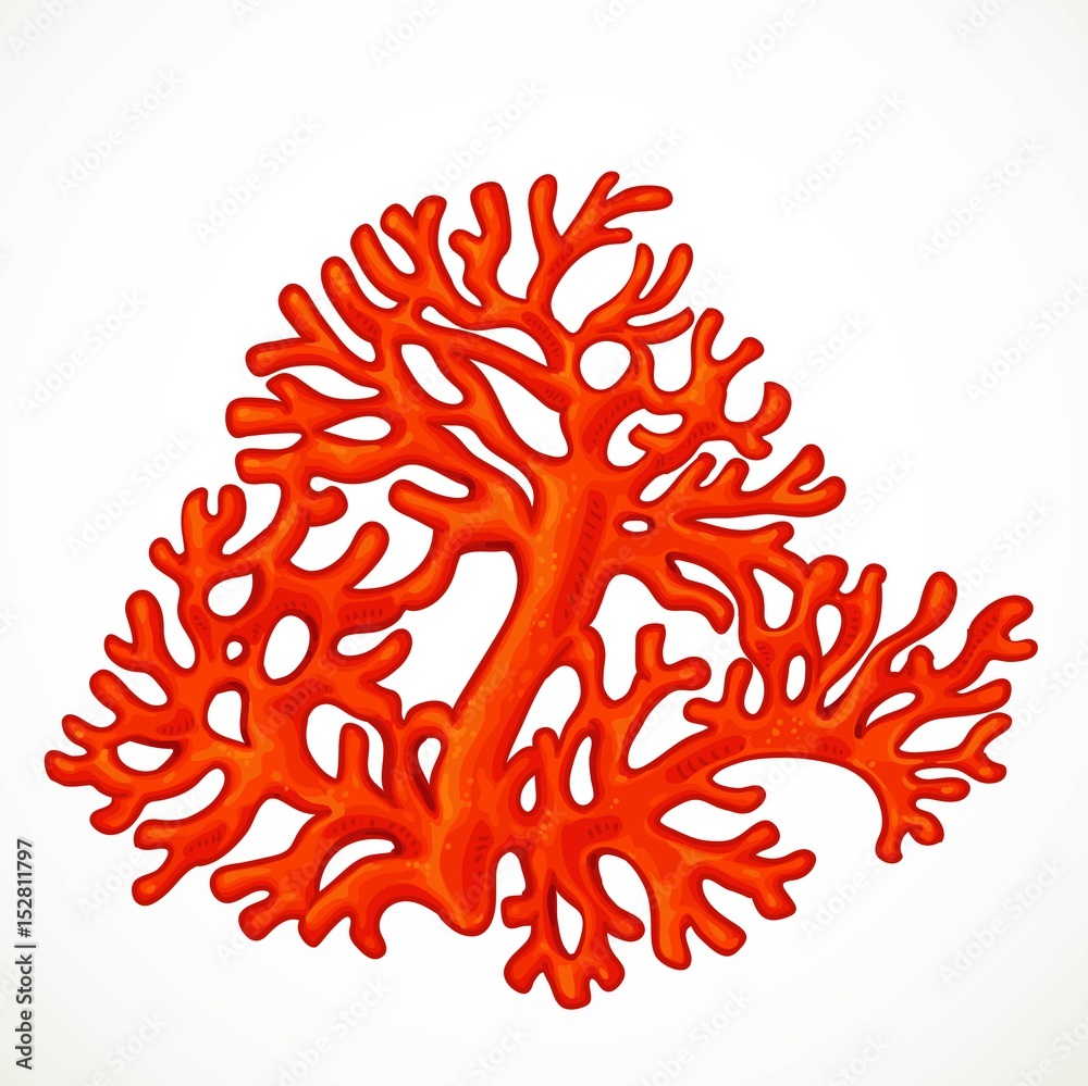 Fototapeta premium Big red corals sea life object isolated on white background