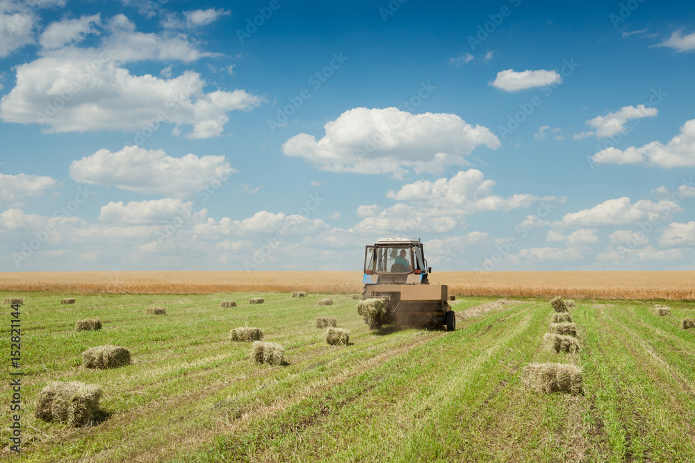 Tractor collects dry hay on the farm field