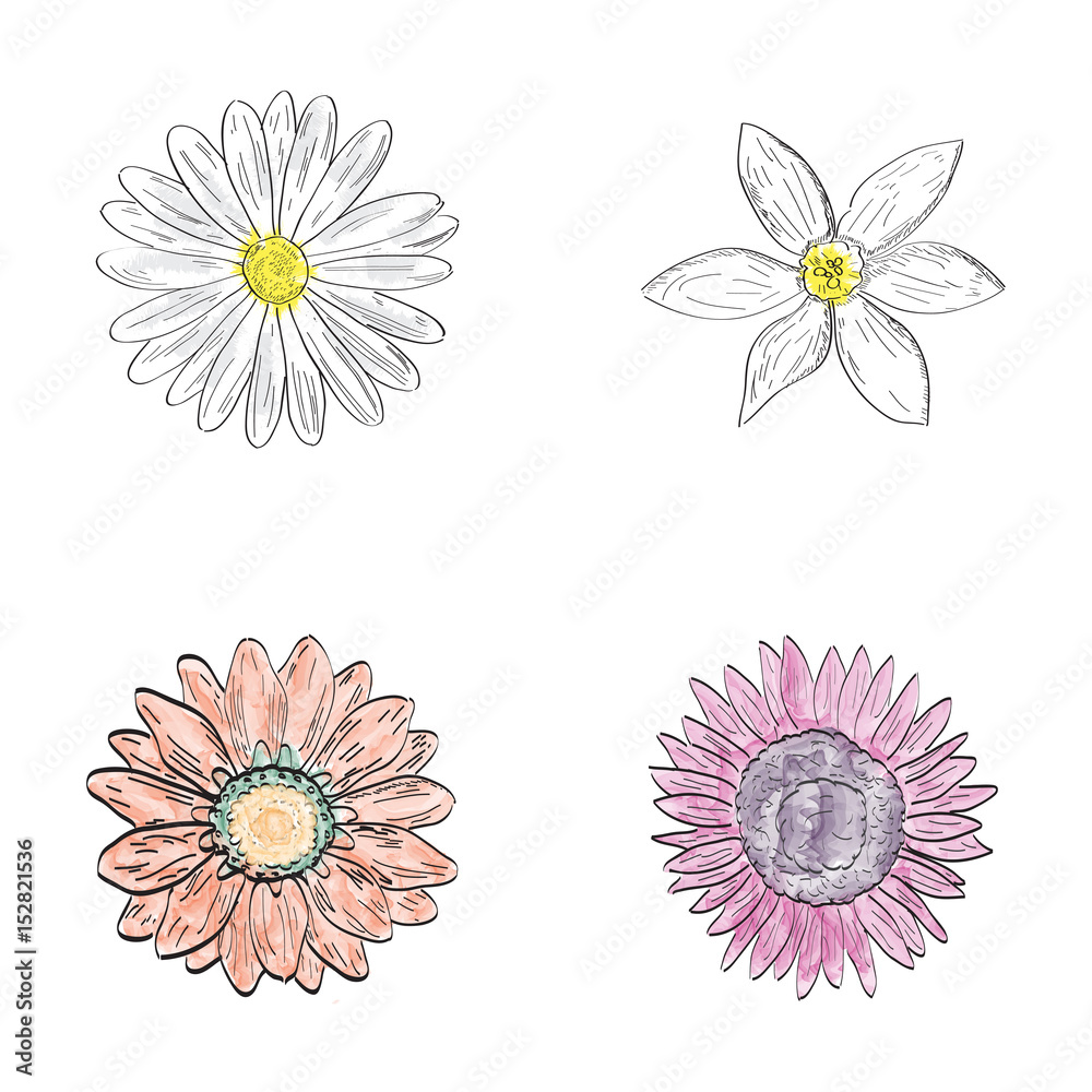 Set of outlines of different flowers, Vector illustration Set of outlines of different flowers, Vector illustration