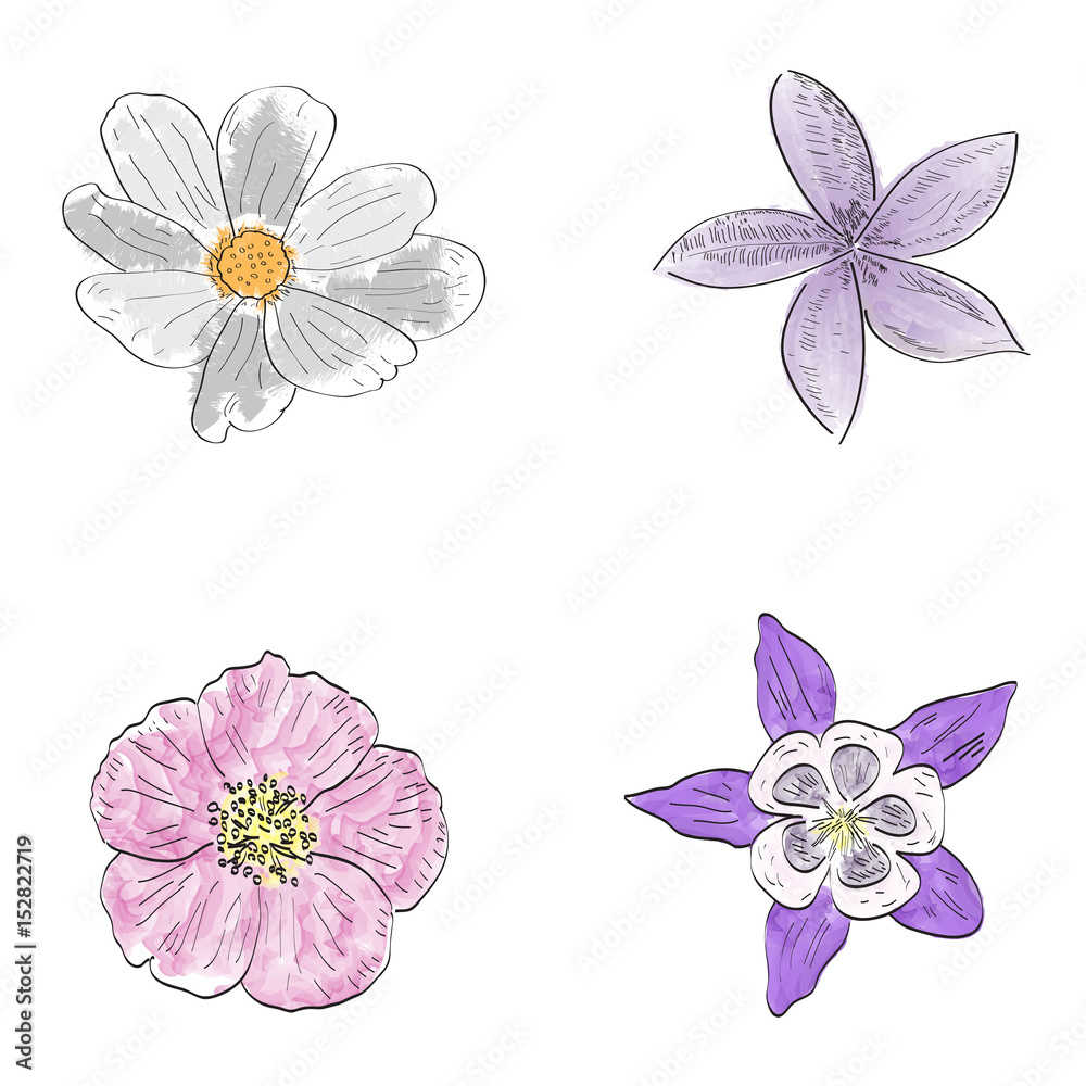 Set of outlines of different flowers, Vector illustration