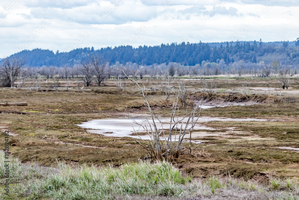 mudflats and mountains mudflats and mountains