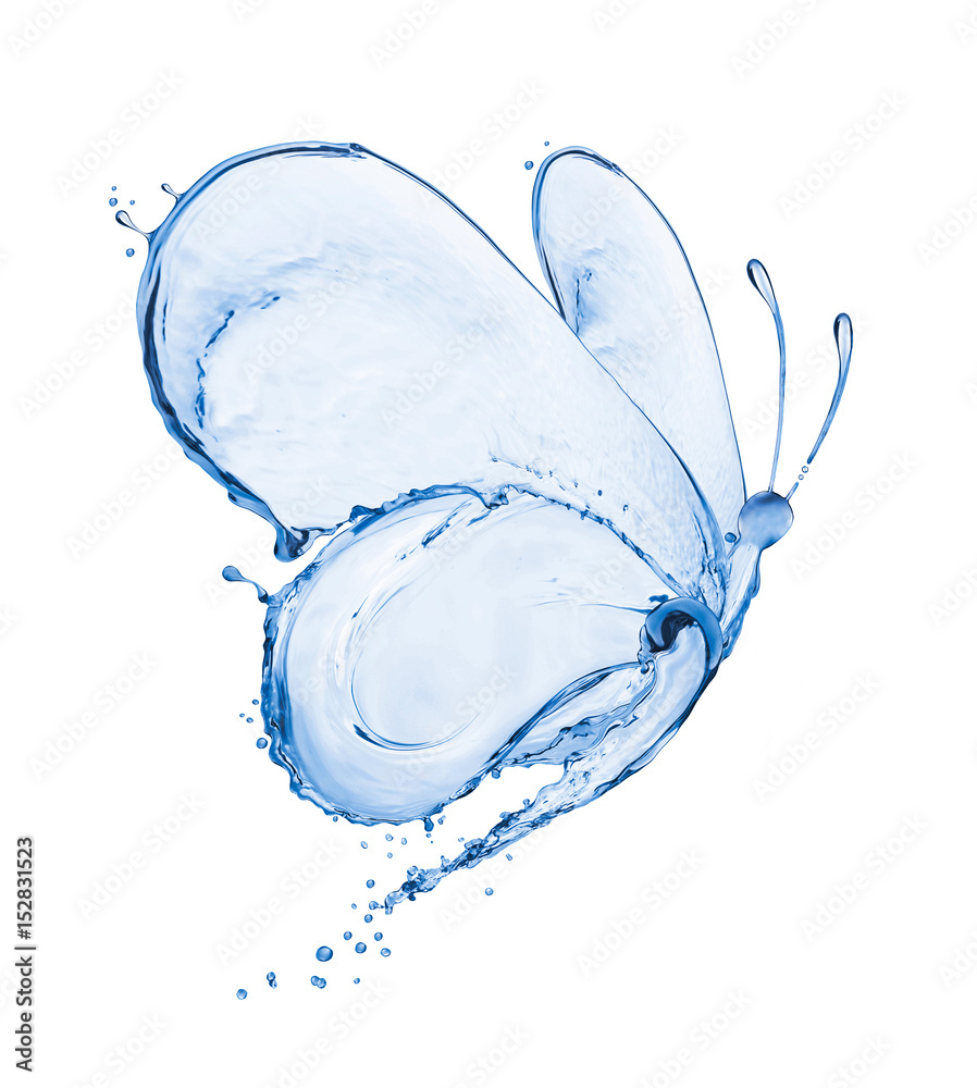 Fototapeta premium Motyl robić pluśnięcia woda odizolowywająca na białym tle