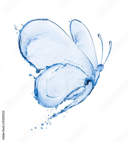 Butterfly made of water splashes isolated on white background